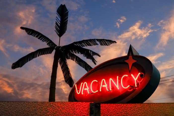 Neon sign that says &quot;VACANCY&quot; in front of a palm tree silhouette