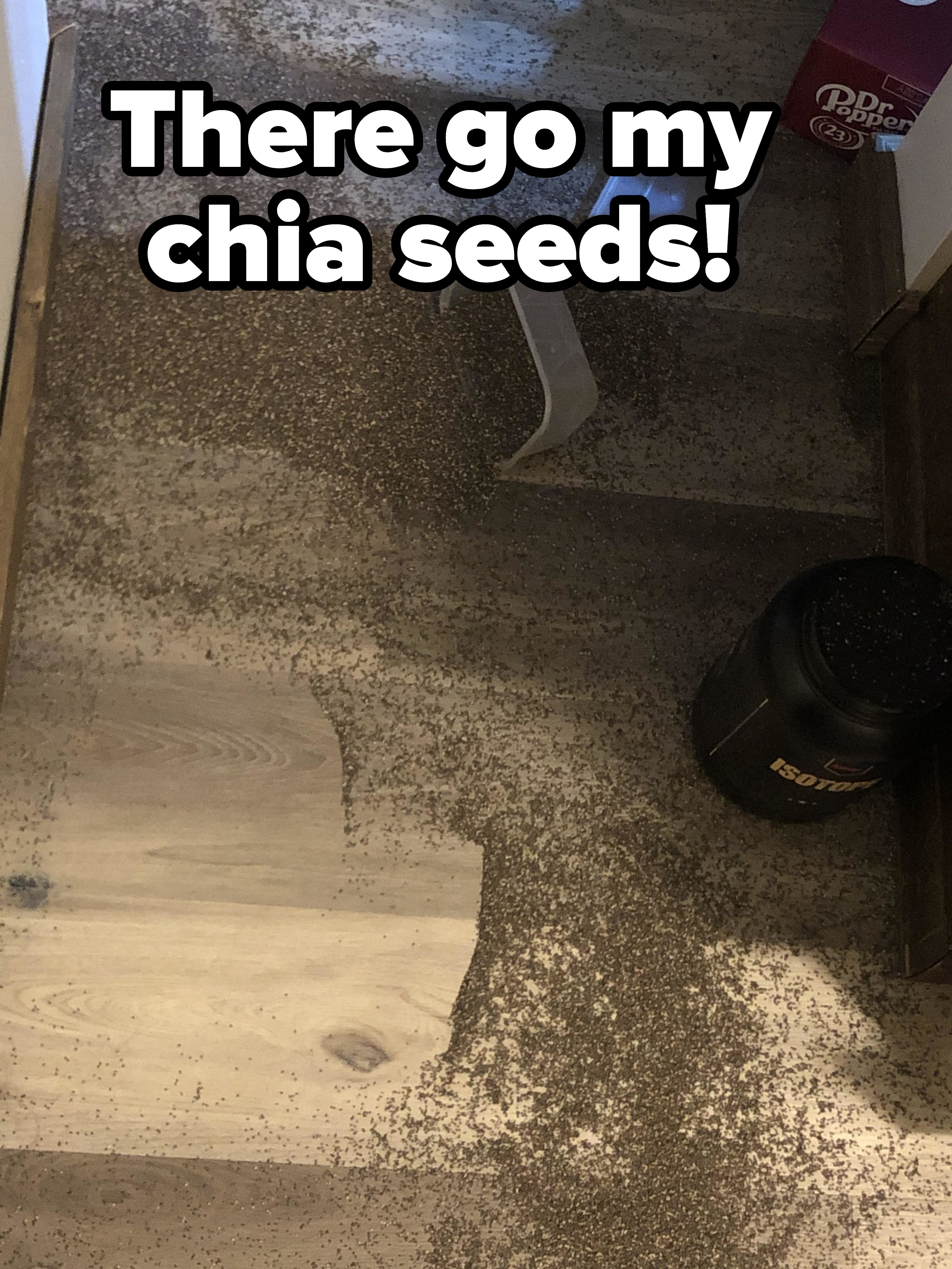 Chia seeds everywhere