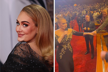 Adele smiles and looks over her shoulder as a photographer takes her picture vs Adele grabbing a fan's hand and holding a microphone during a concert