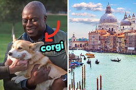 On the left, Holt from Brooklyn Nine-Nine holding Cheddar the dog with an arrow pointing to the dog and corgi typed next to it, and on the right, the canals of Venice on a sunny day