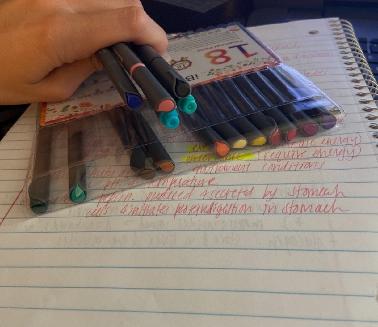 a reviewer photo of a hand holding ht pens over a notebook