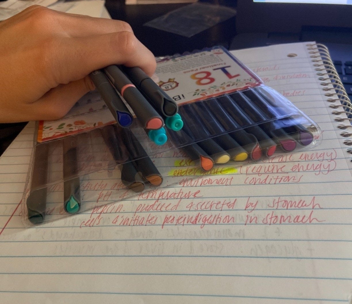 a reviewer photo of a hand holding ht pens over a notebook