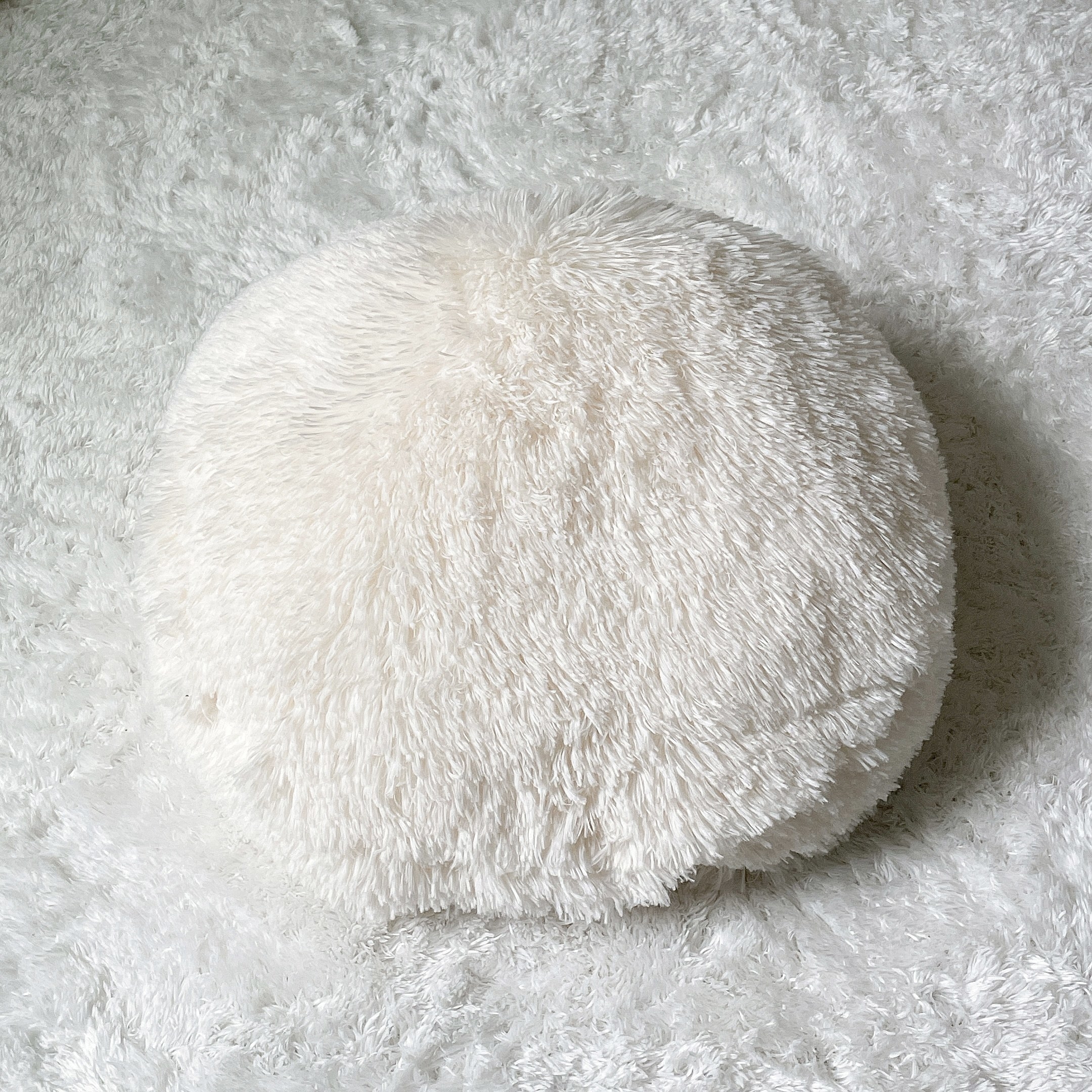 NITORI(ニトリ)のおすすめのアイテム「モチモチクッション(ロングファー O IV)」