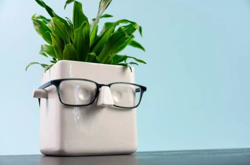 Face-shaped planter with glasses