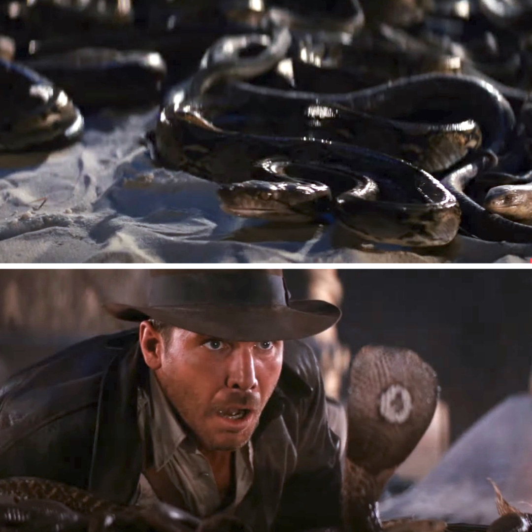 Indiana Jones with piles of snakes in front of him