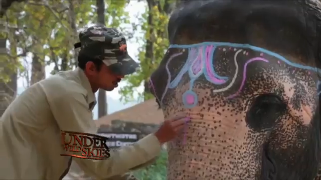 A man painting an elephant&#x27;s head with decorative paint
