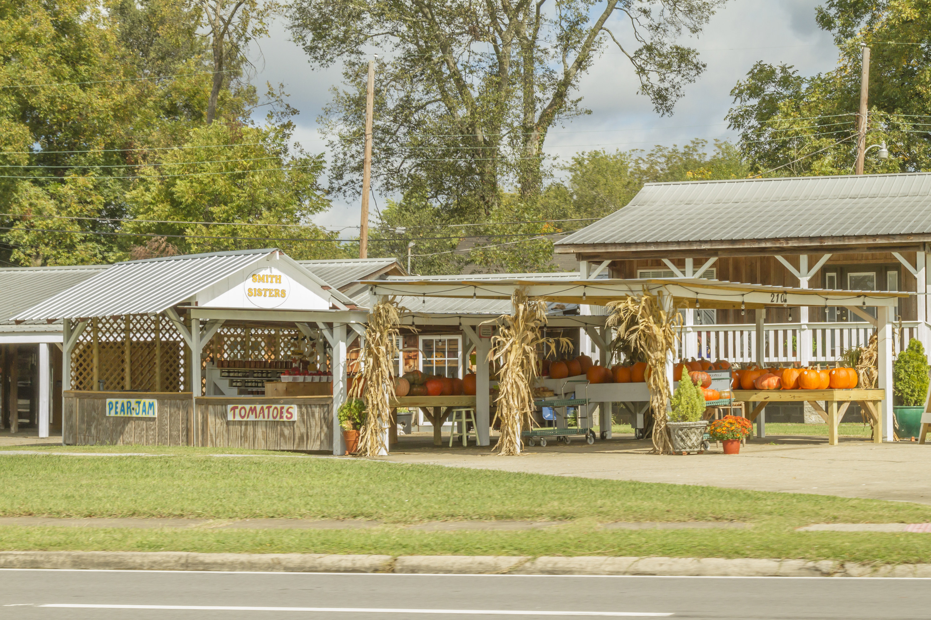 General view of farm market selling pumpkins for decorations