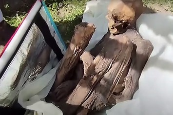 Man with 800-Yr-Old Mummy in Bag