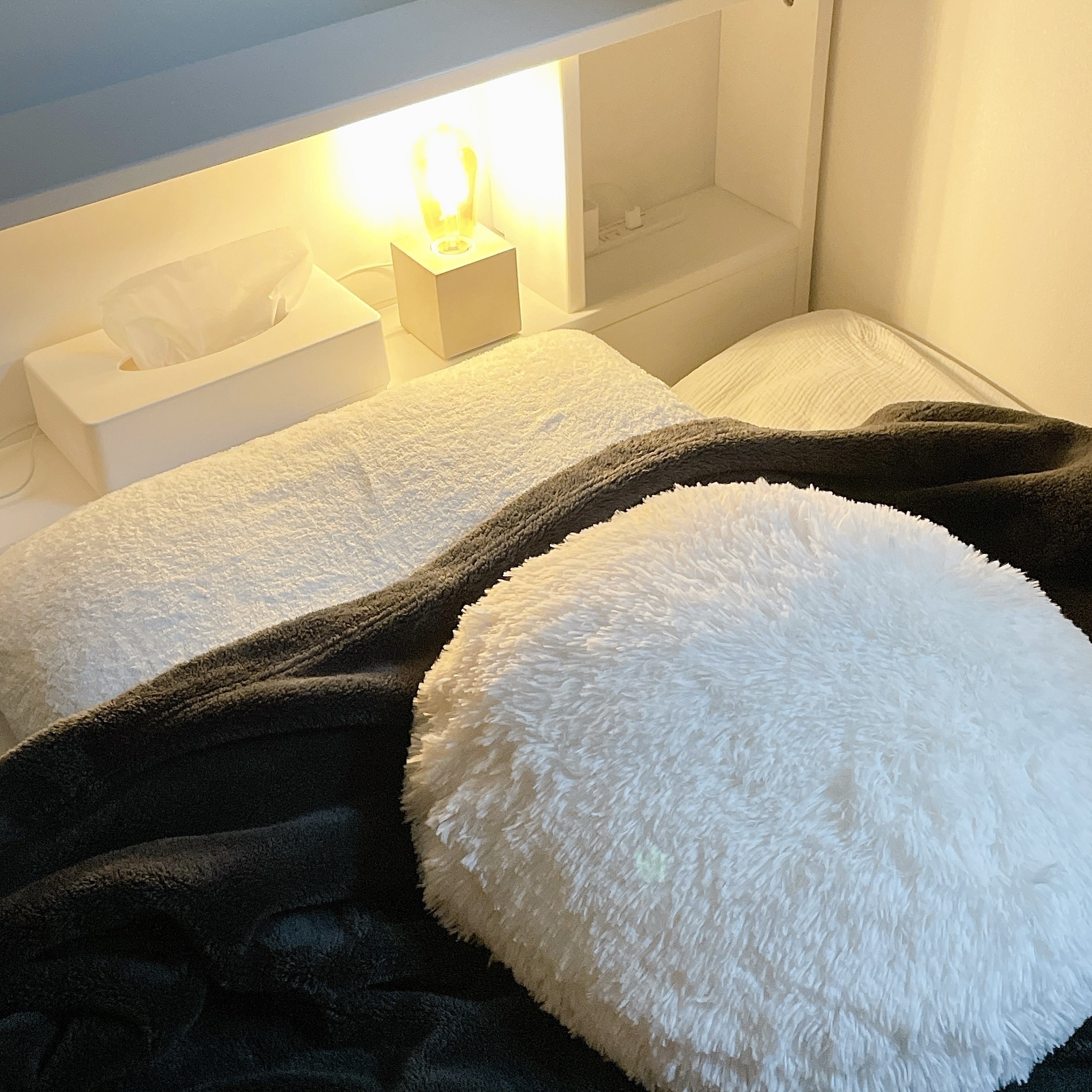 NITORI(ニトリ)のおすすめのアイテム「モチモチクッション(ロングファー O IV)」