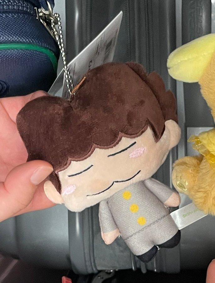 日本旅行中にお気に入りの『あたしンち』ぬいぐるみをなくしちゃった