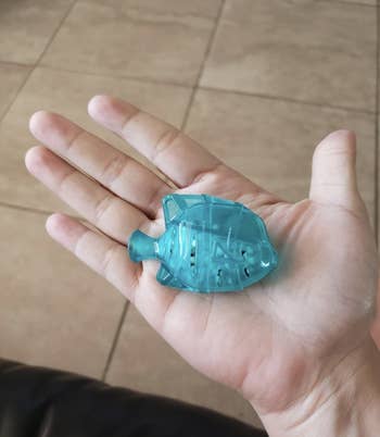 The fish in someone's hand