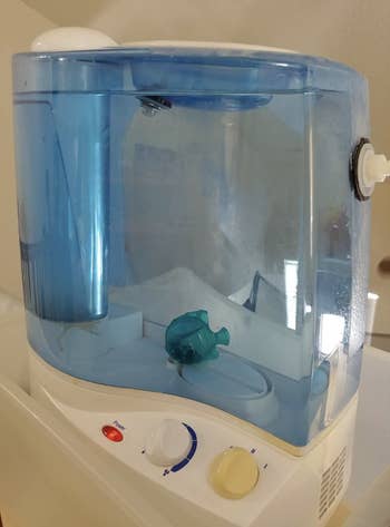 The fish in a humidifier