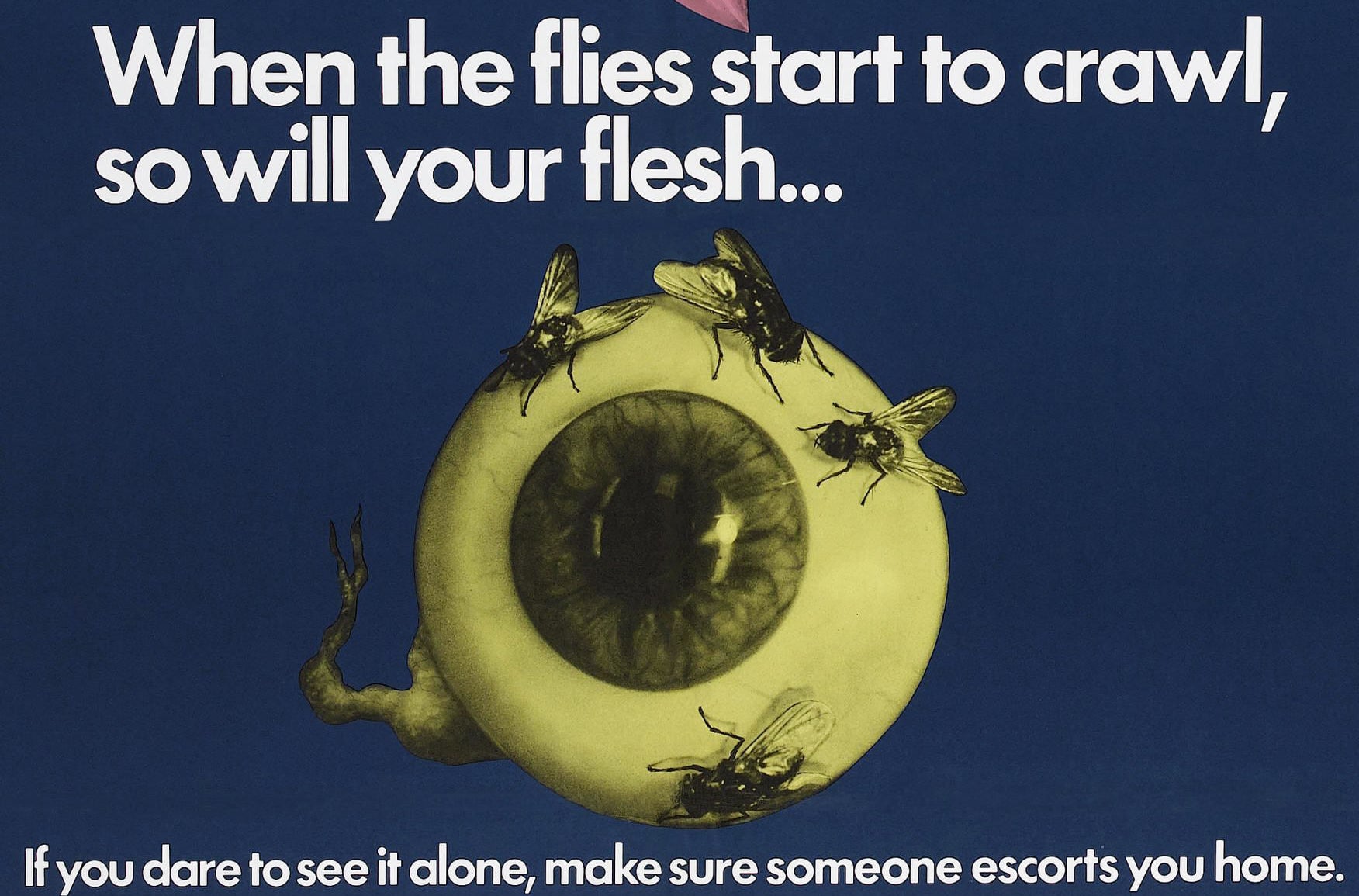 Theatrical U.S. Poster for “Four Flies on Grey Velvet”