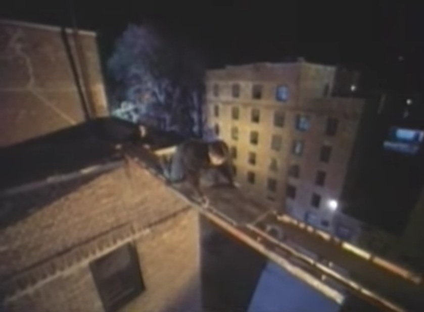 A man attempts to crawl across a ladder connecting a rooftop to a window