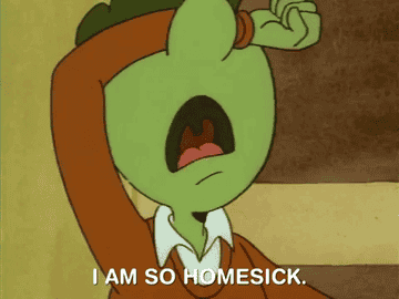 a character from Doug on Nickelodeon says &quot;i am so homesick&quot;