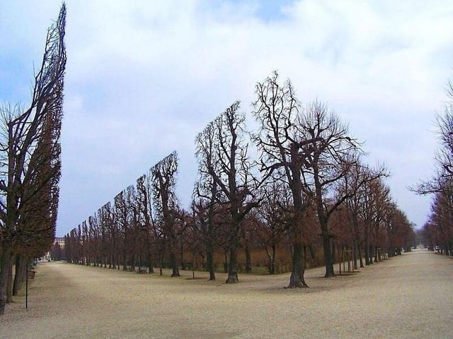 Trees that have perfect edges