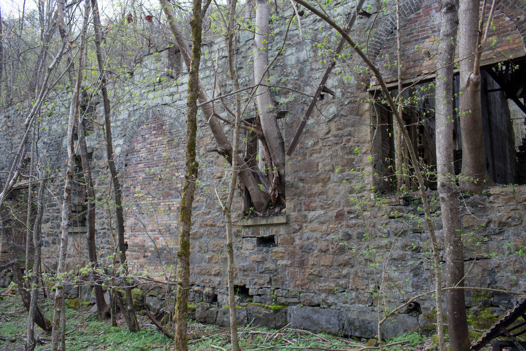 An abandoned building with trees coming out of it