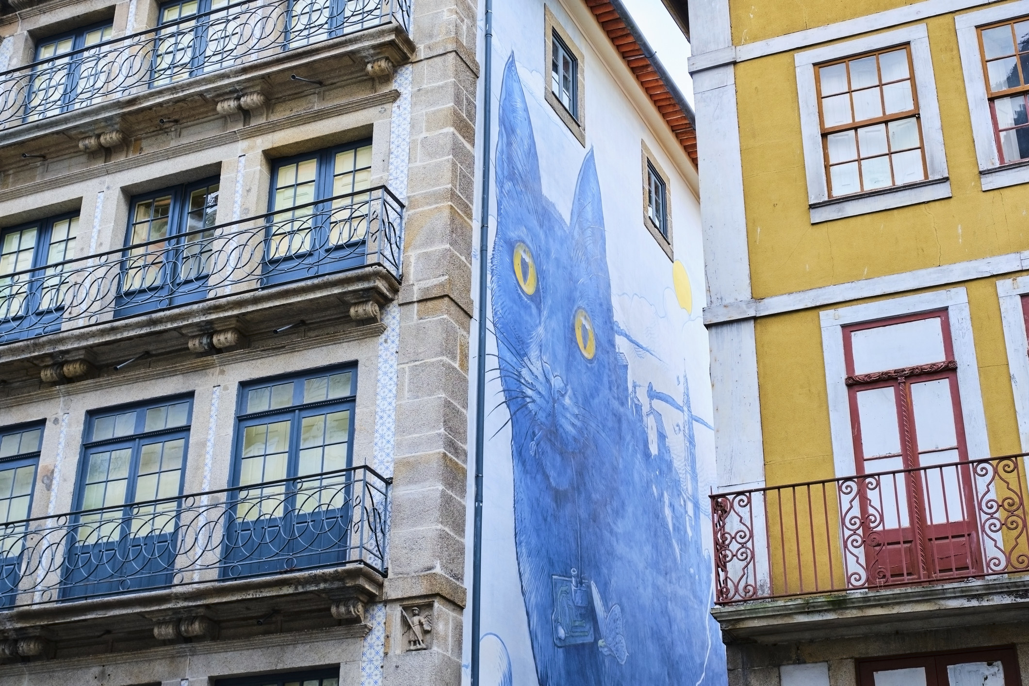 Cat mural on townhouse wall seen from below