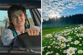 On the left, Steve from Stranger Things driving a car, and on the right, wildflowers blooming on a sunny day