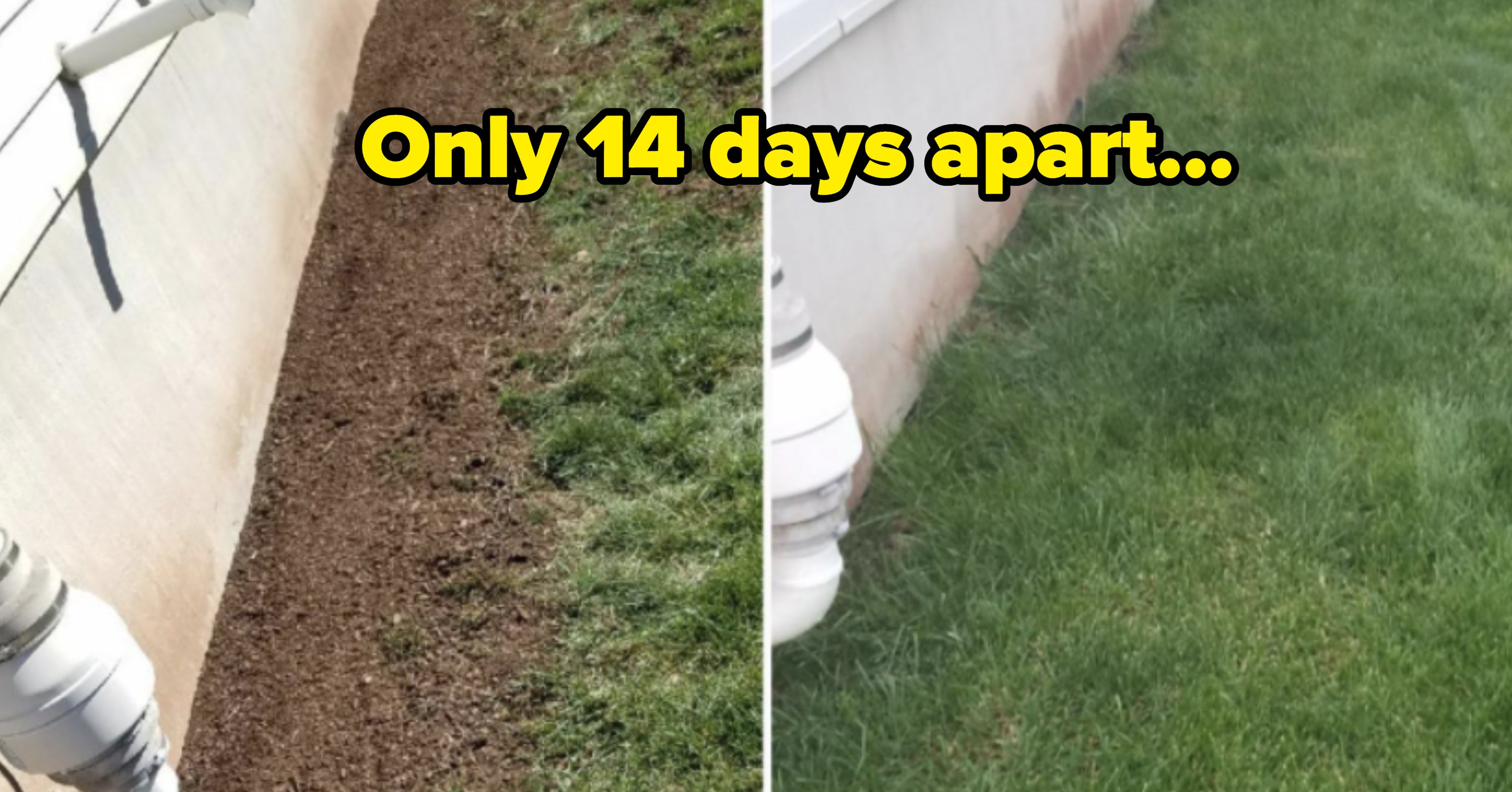 39 Things You Should Finally Try For Yourself