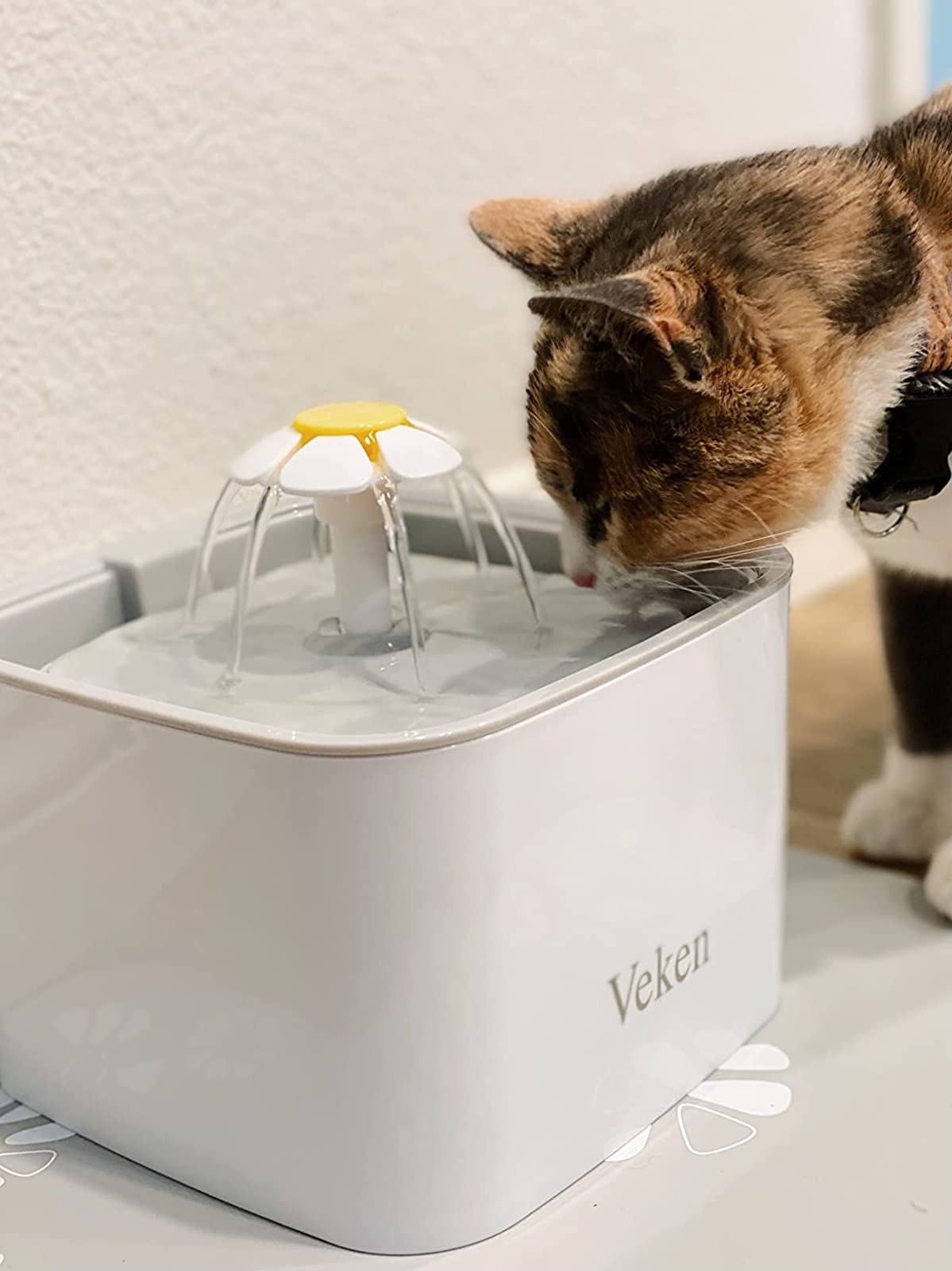 Cat drinking from white water fountain with yellow &amp;amp; white flower sprout