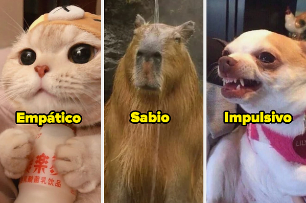 Test de personalidad