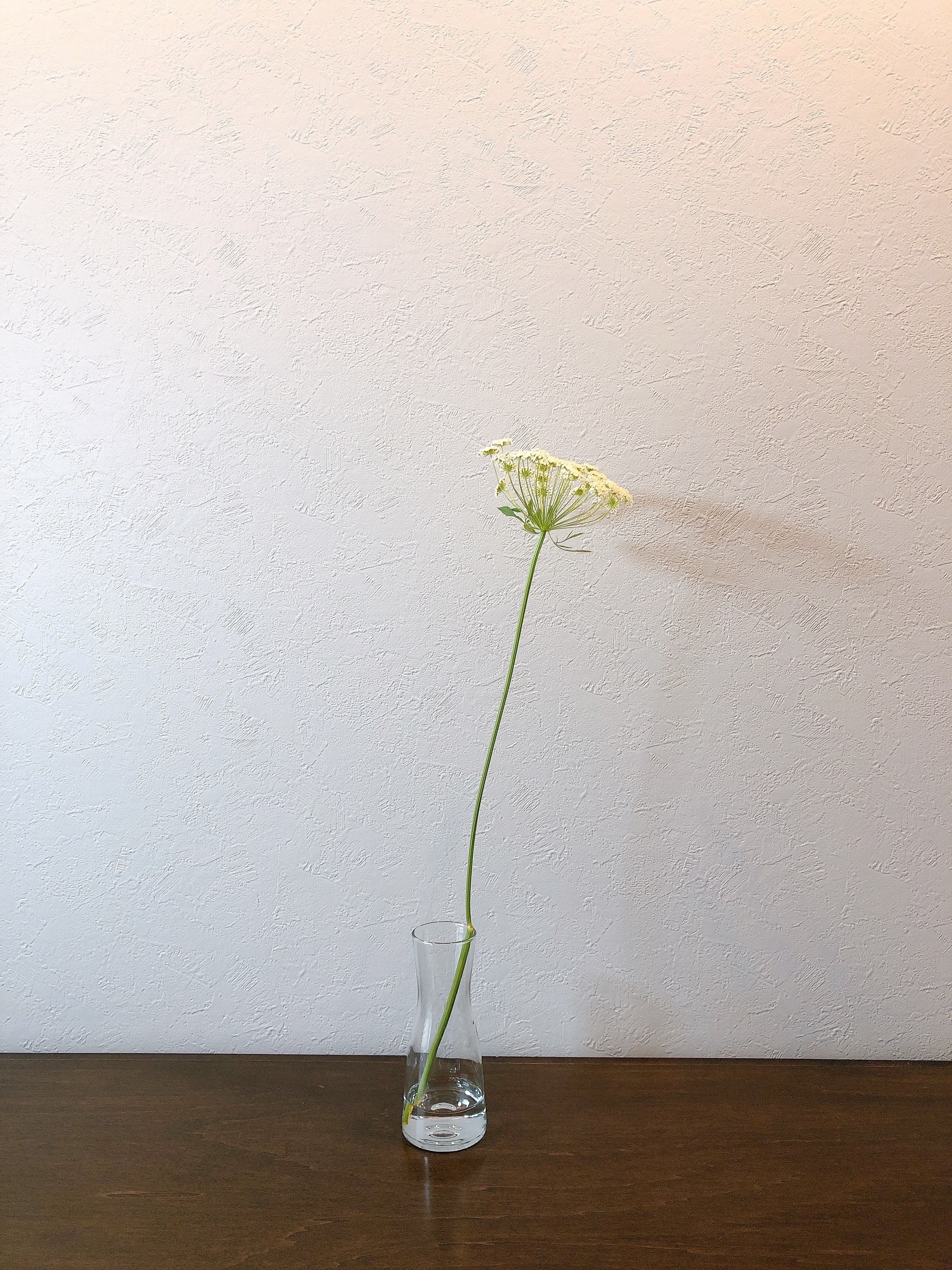 IKEA（イケア）のオススメの花瓶「TIDVATTEN ティドヴァッテン 花瓶,クリアガラス,14cm」