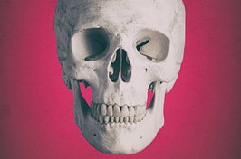 skull on a pink background
