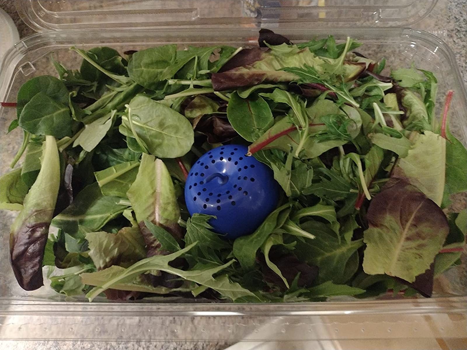 Reviewer image of blue apple in a container of lettuce