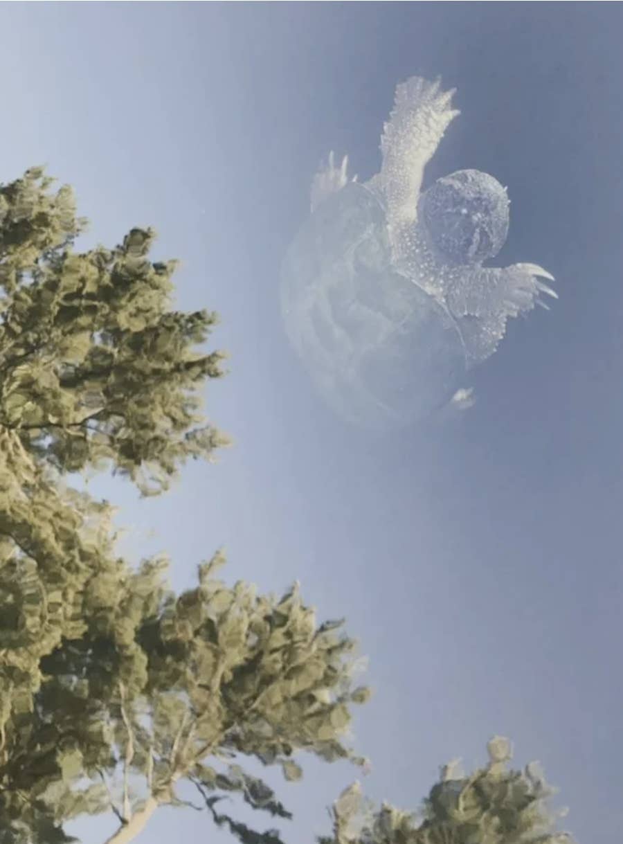 strange photos explained