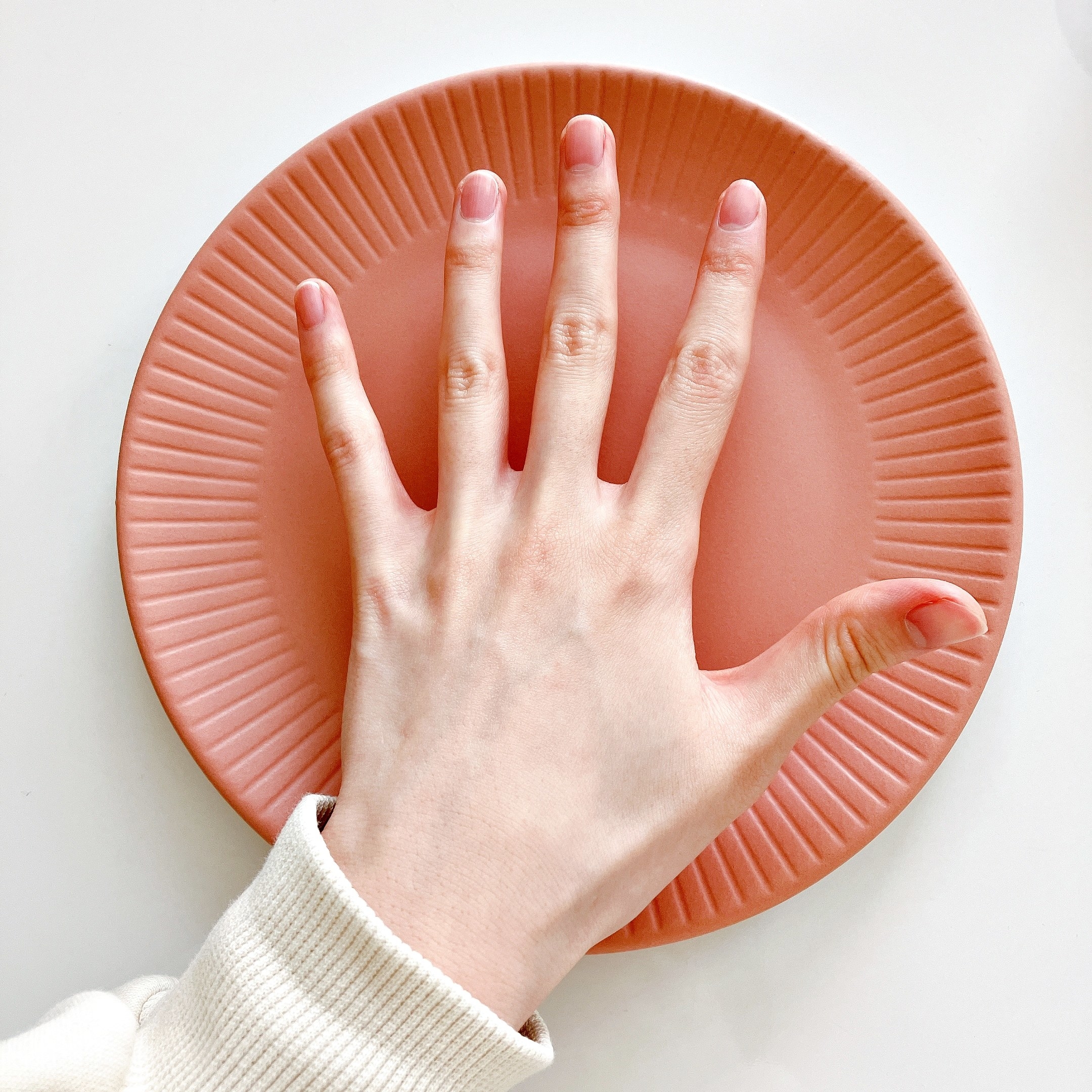 Seria（セリア）のおすすめ食器「プレートLダスティカラー 約18.5cm」