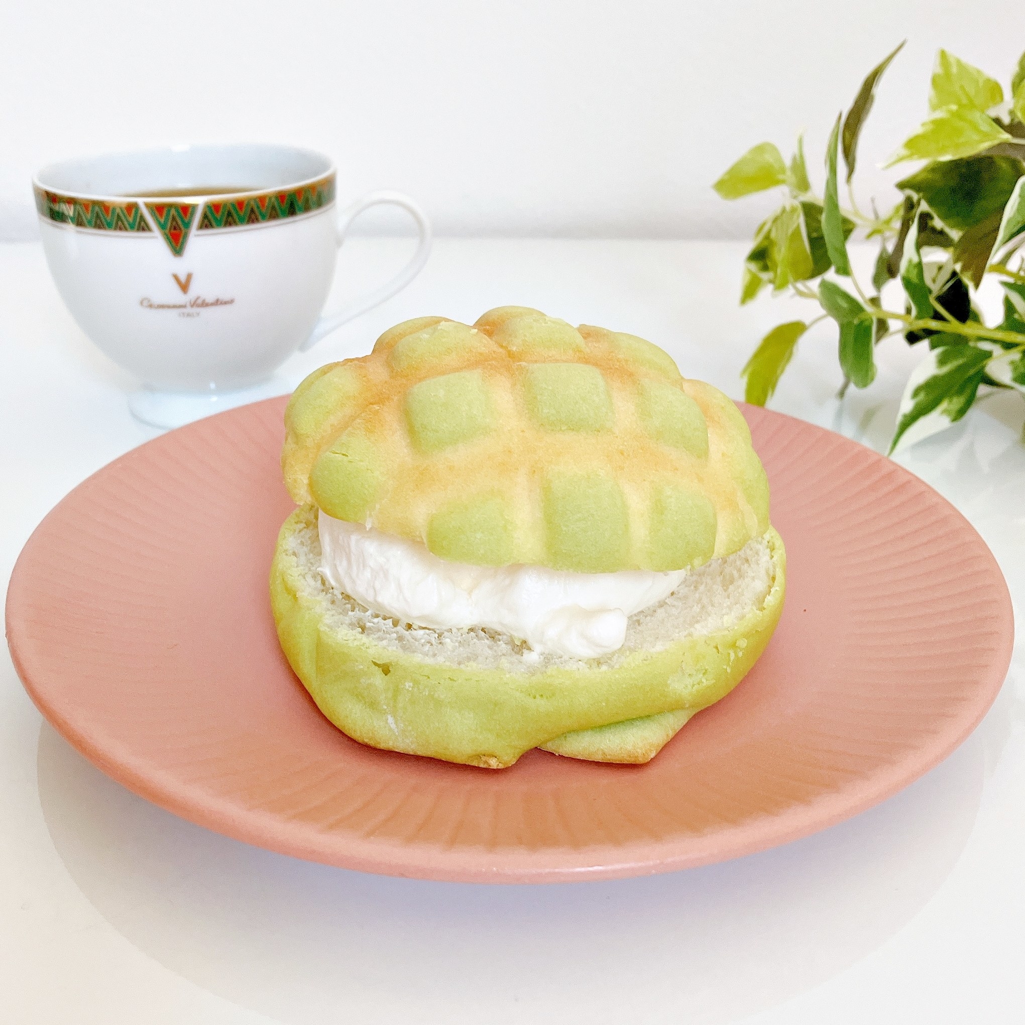 Seria（セリア）のおすすめ食器「プレートLダスティカラー 約18.5cm」