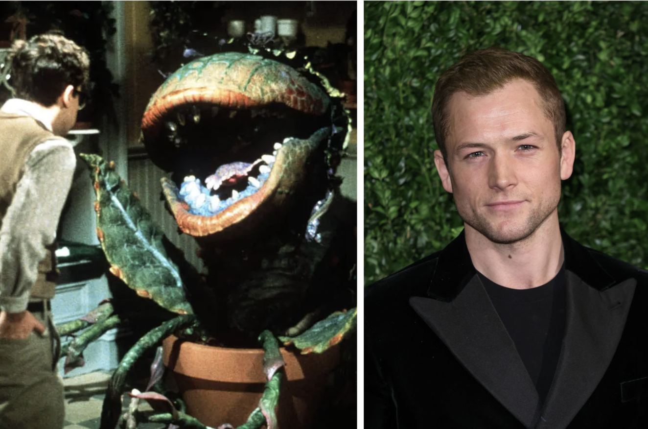 on the left a still from little shop horrors 1986, on the right a picture of taron egerton