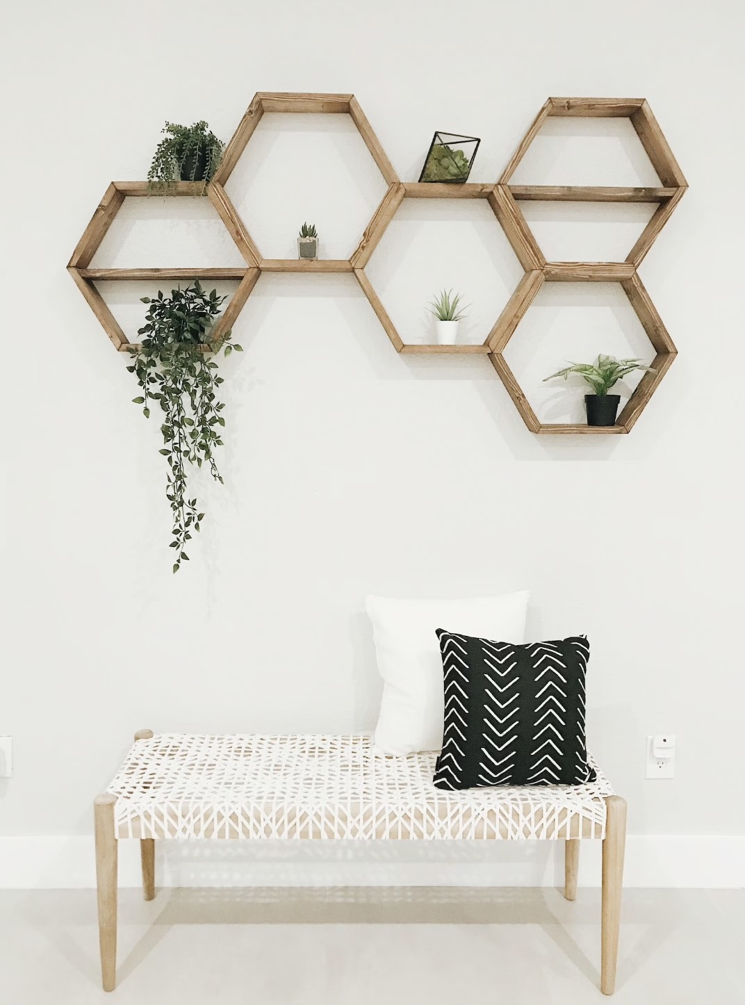 five wooden hexagon wall shelves in honeycomb shape with plants inside