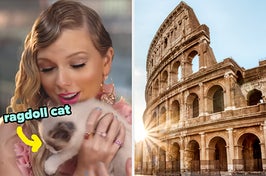 On the left, Taylor Swift holding her cat Benjamin Button in the Me music video with an arrow pointing to him and ragdoll cat typed next to him, and on the right, the Colosseum in Rome