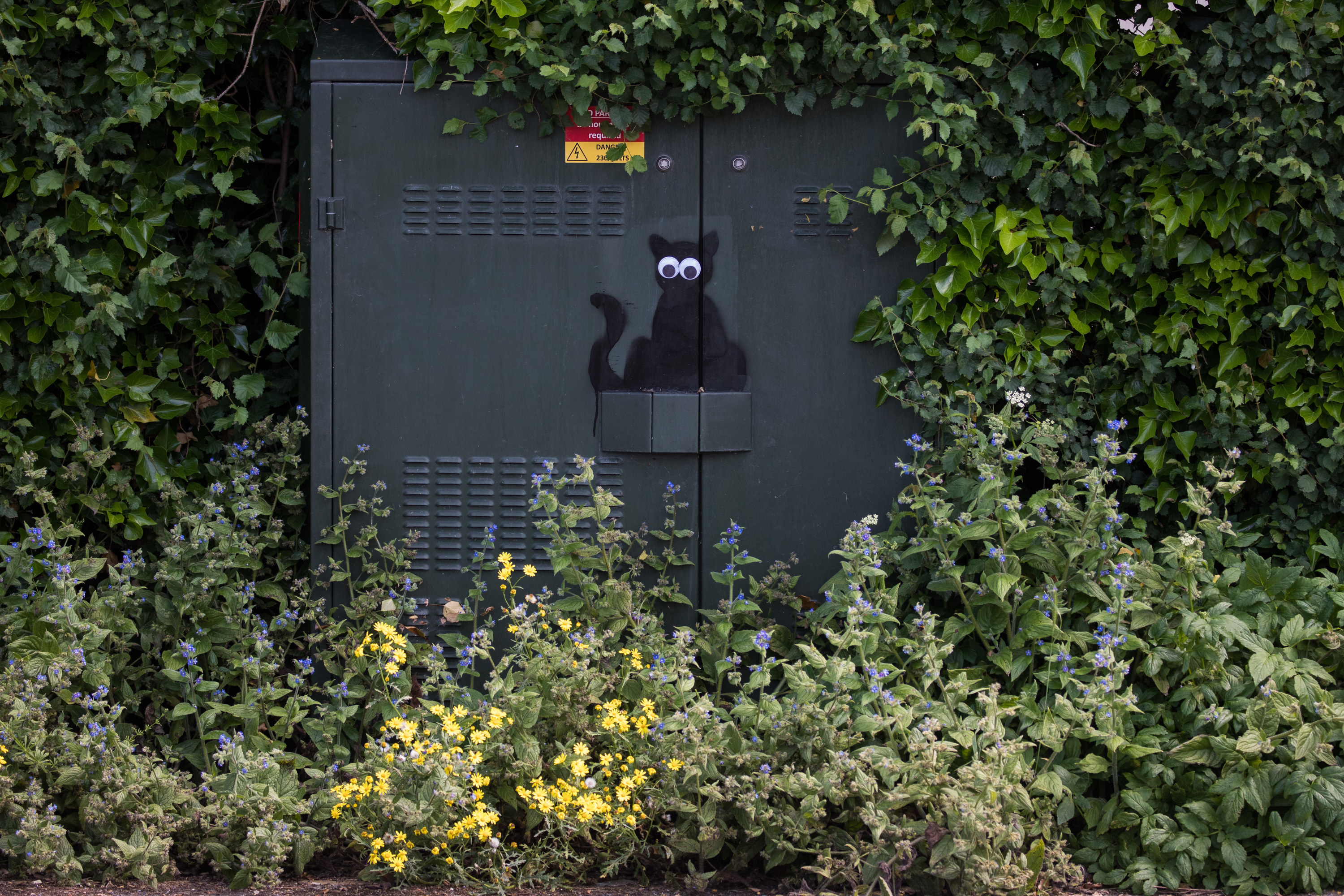 Spray painted black cat with googly eyes