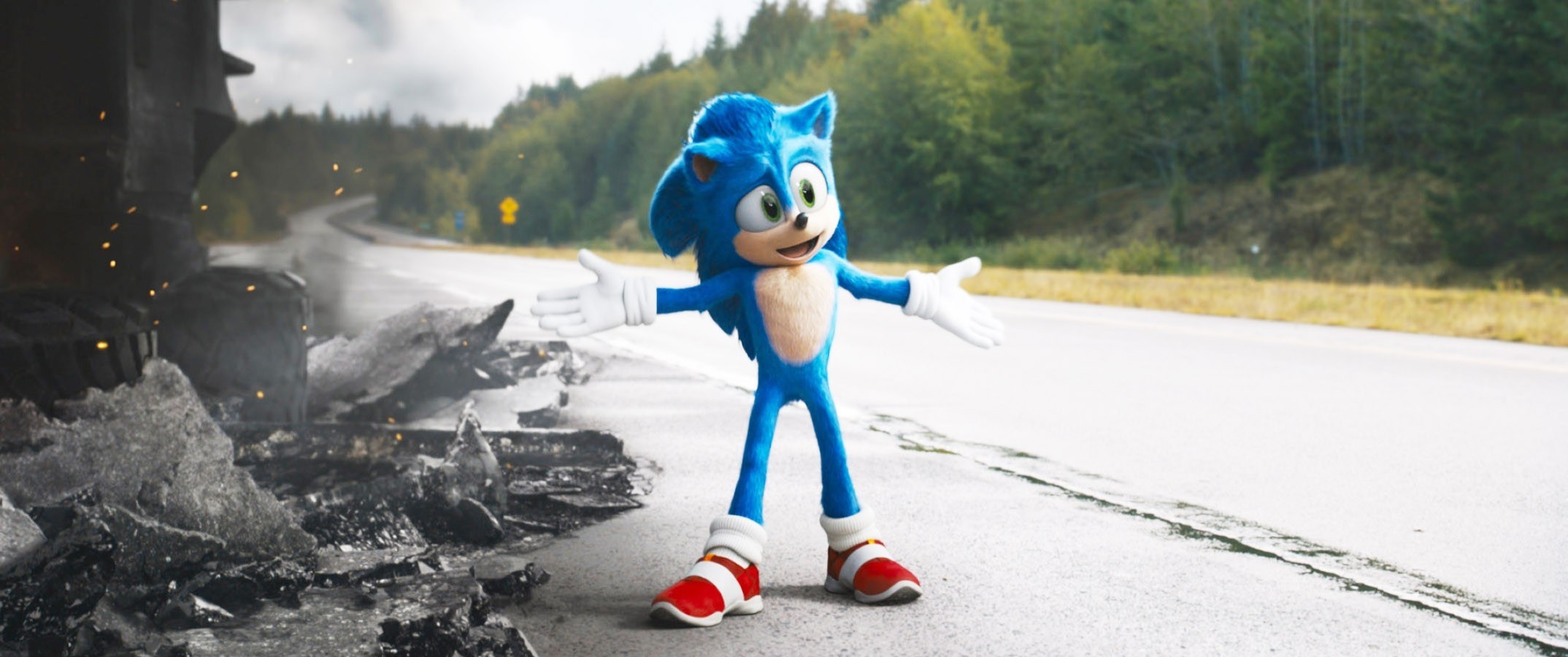 Sonic Hedgehog stands on the road