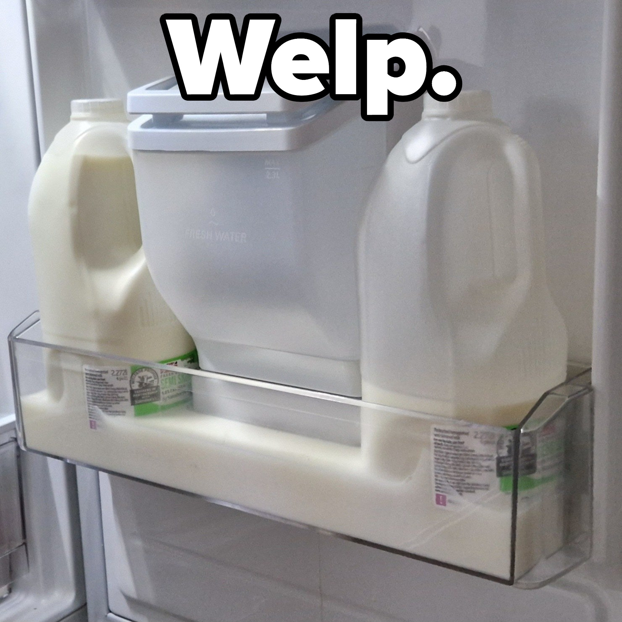 Spilled milk in a fridge