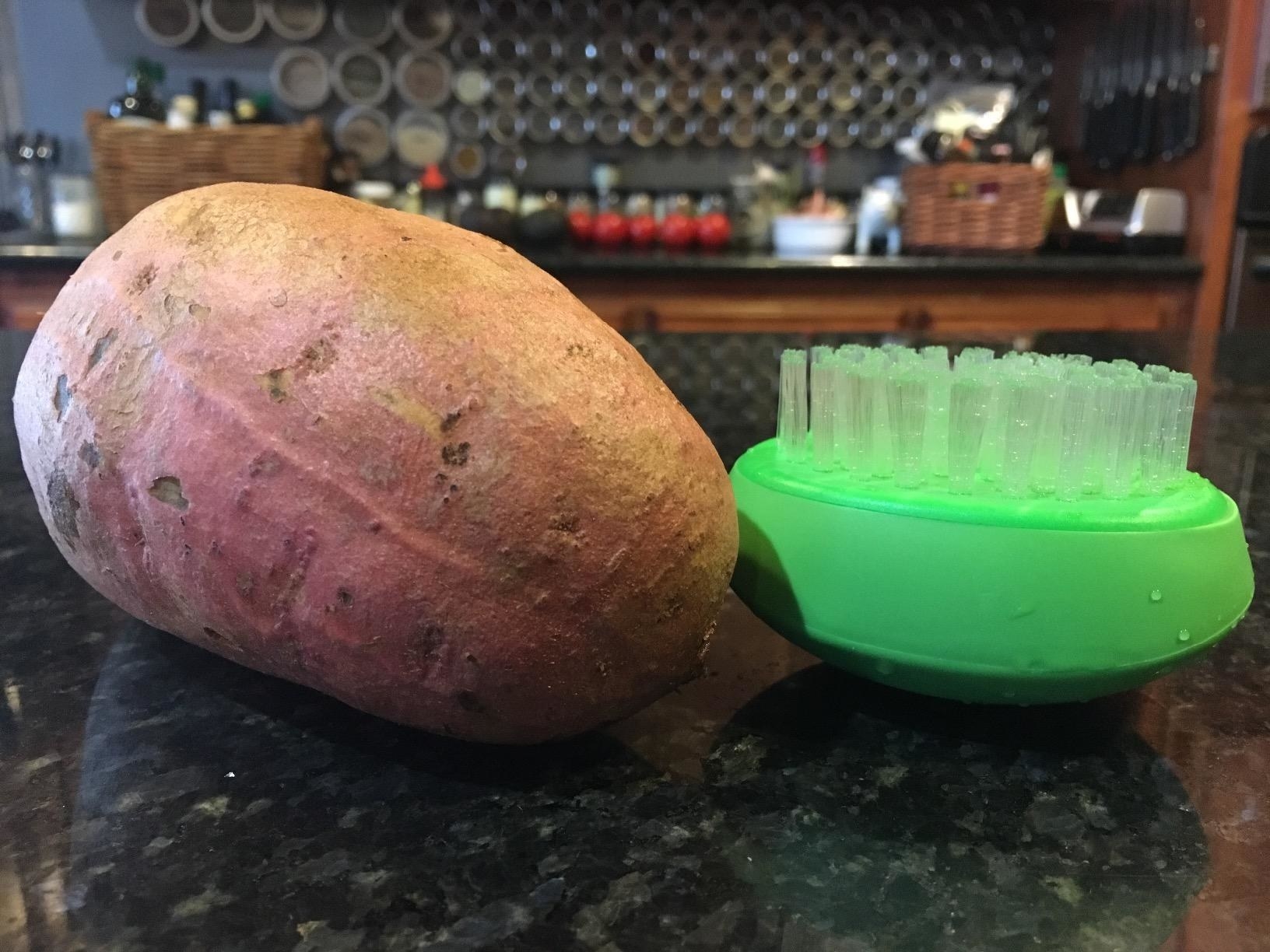 Reviewer image of scrubber next to a potato
