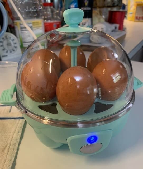 Reviewer image of blue egg cooker with eggs in it