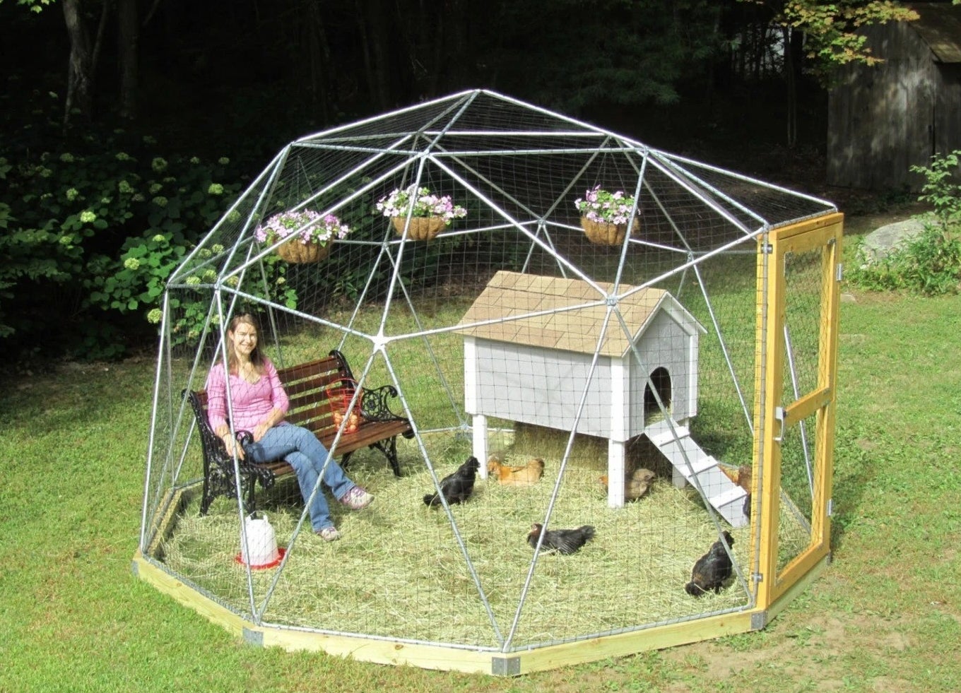 A person sits inside their geodesic dome for chickens
