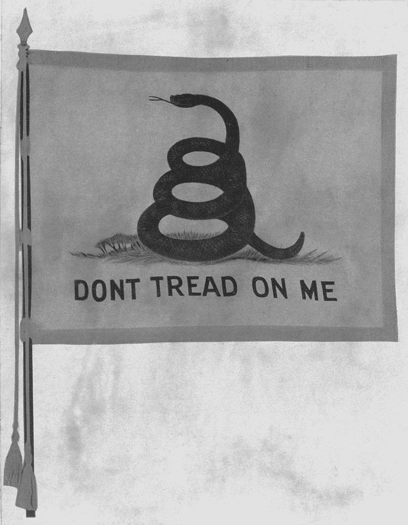 the snake on the don&#x27;t tread on me flag