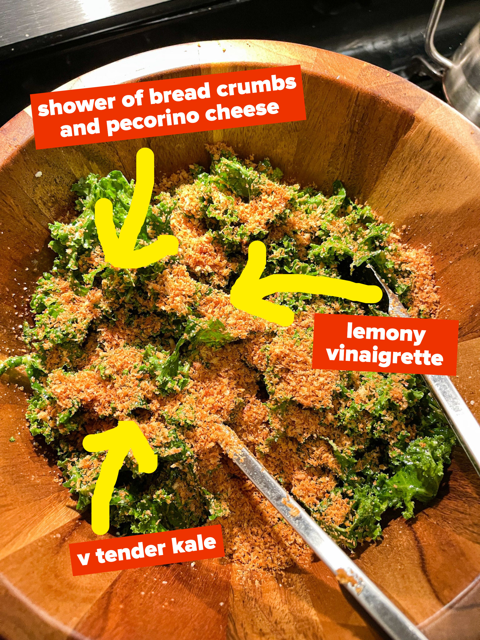 Salad with bread crumbs and pecorino cheese, a lemony vinaigrette, and very tender kale