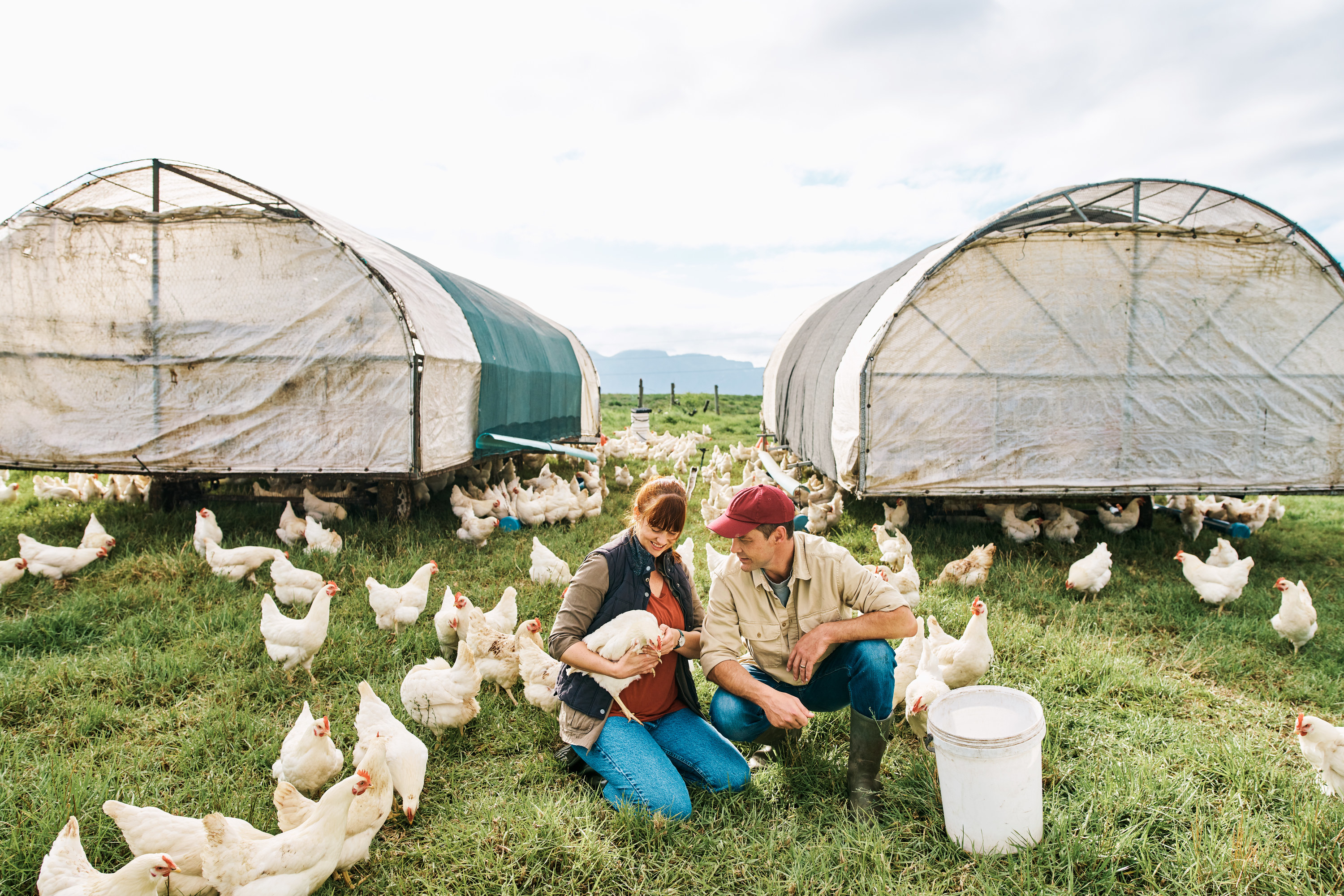 A couple feeding chickens on a farm