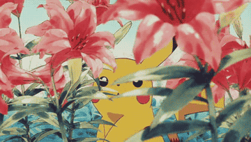 pikachu wandering bemusedly through a field of flowers