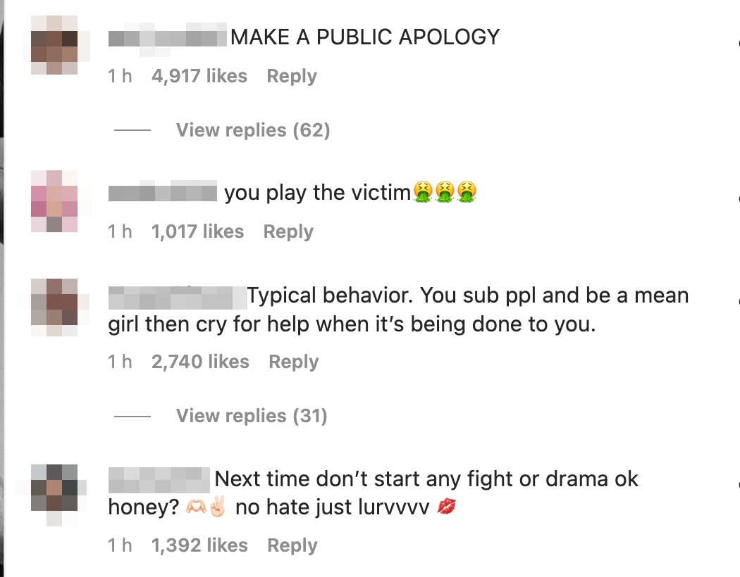 Instagram comments read &quot;make a public apology,&quot; &quot;you play the victim&quot; with vomit emojis, &quot;typical behavior,&quot; and &quot;next time don&#x27;t start any fight or drama&quot;