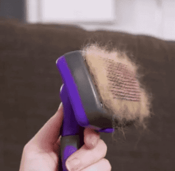 A purple hertzko self-cleaning brush with mounds of fur sitting next to it