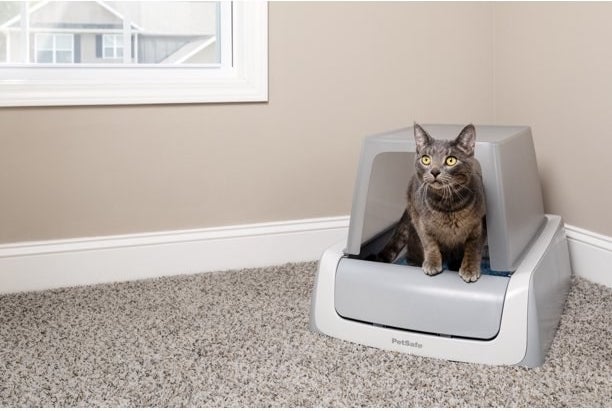 a gray vat using a gray a self-cleaning cat litter box in a corner