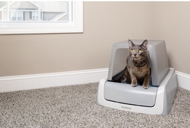 a gray vat using a gray a self-cleaning cat litter box in a corner