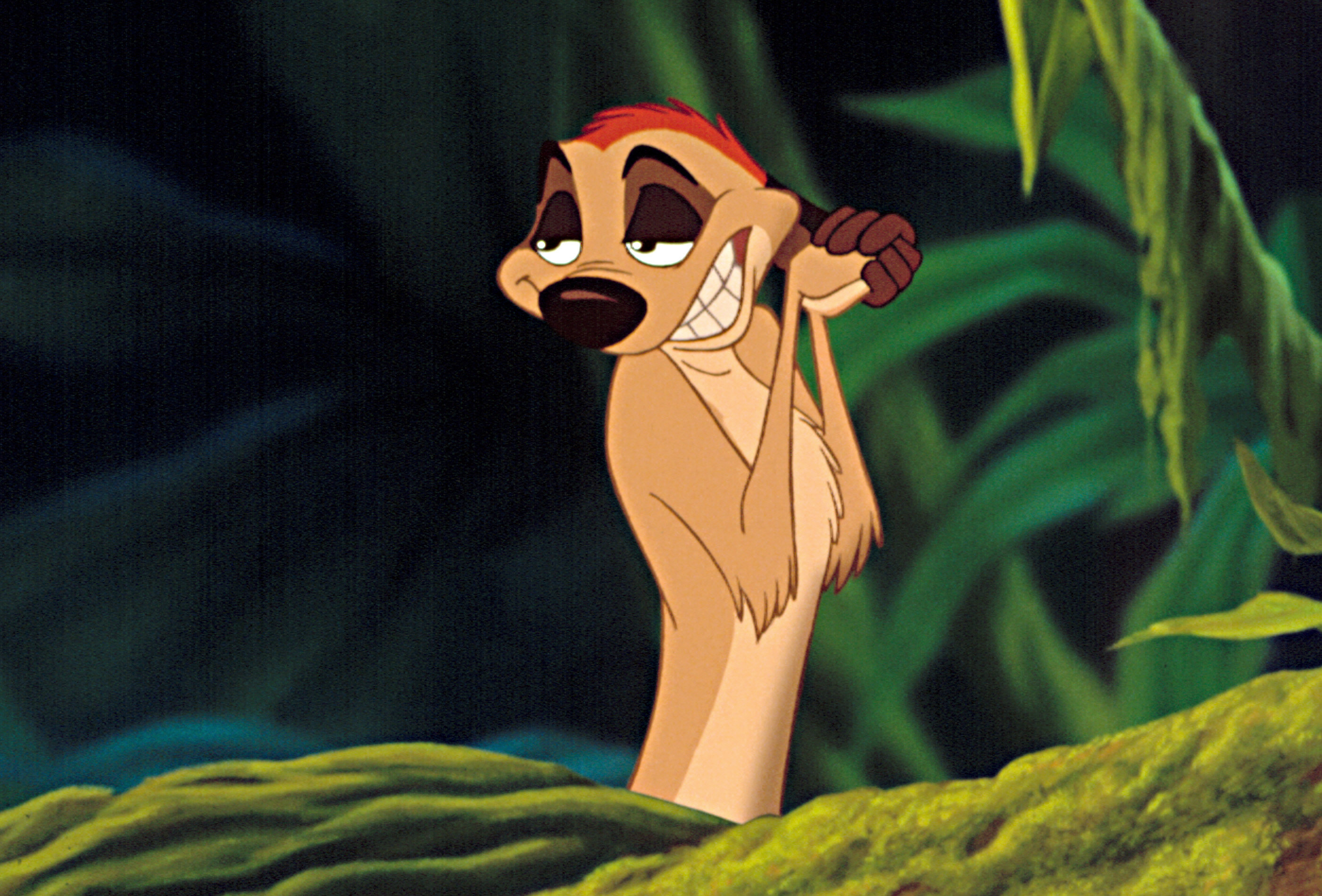 Timon in &quot;The Lion King&quot;